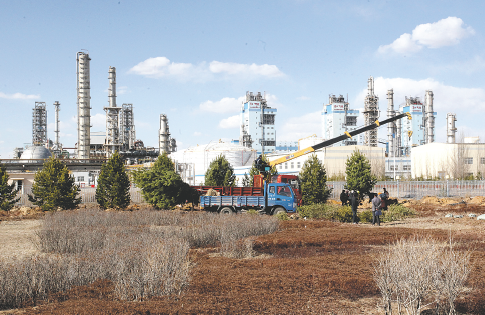 体育app平台界面展示：运动数据与直播